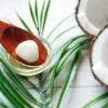 shopmaak wellness product buy gift online healthy care