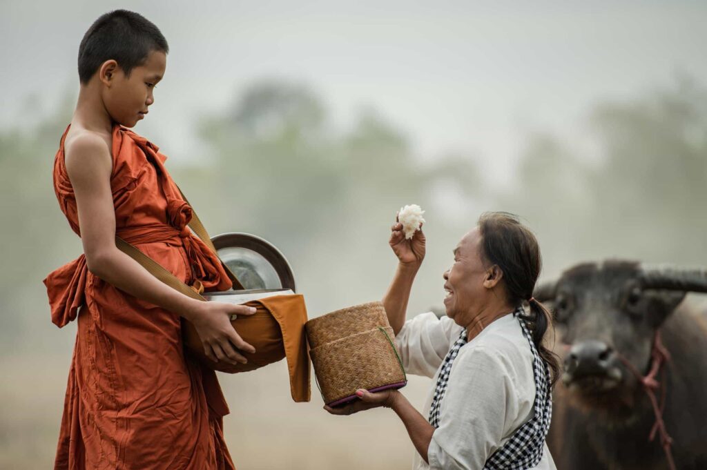 shopmaak organic products buy online thailand