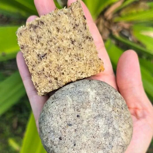 andrographis soap
