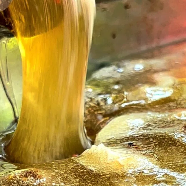andrographis soap