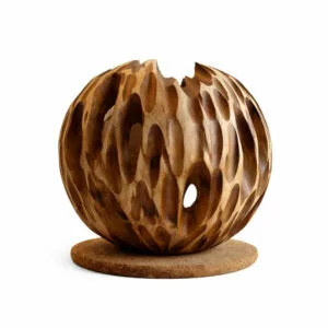 bloom structure mango wood pot (copy)